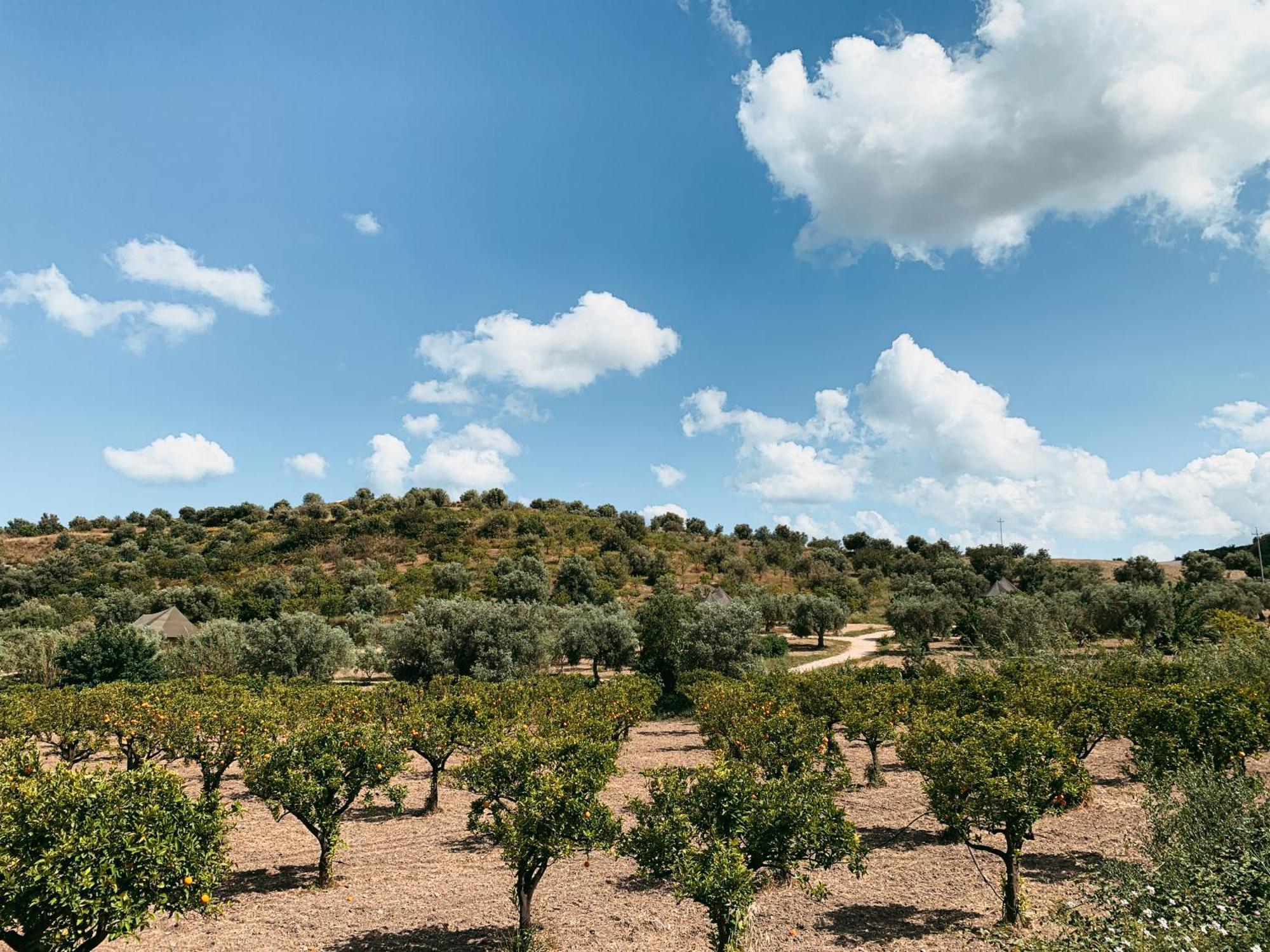 Iuta Farm Villa Noto Exterior photo